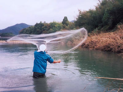 魚類調査