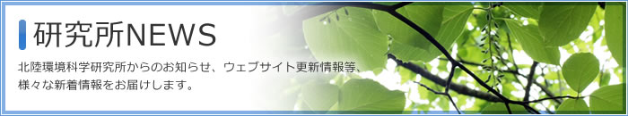 研究所NEWS